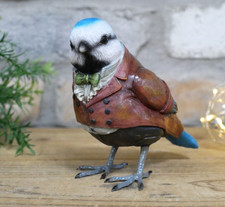 Garden Blue Tit Bird in a Suit