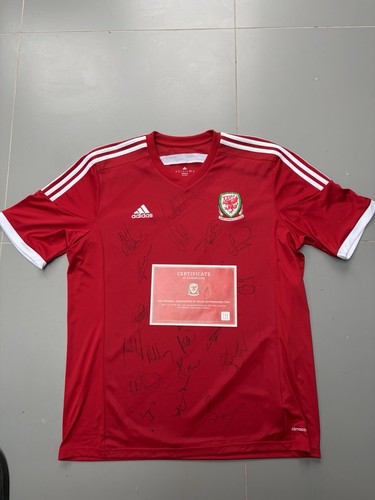 Wales 2014 squad signed - squad, home