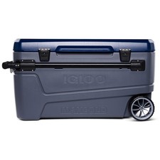Igloo sunset glide 110 - igloo, cooler