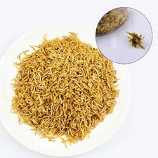 Fishing Bait Dry Maggots 100g
