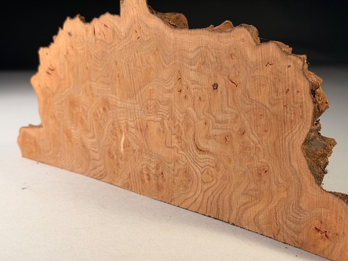 Live edge burr elm wood - wood, slab