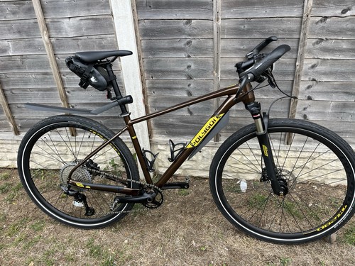 Hybrid bike