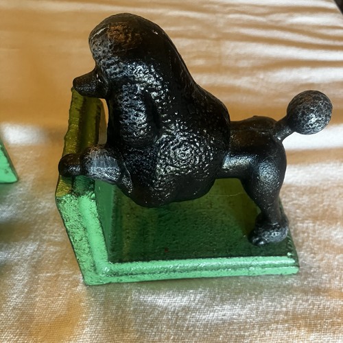 Black standard poodle cast - poodle,