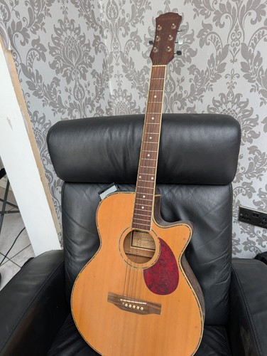 Freshman electric acoustic - electric,