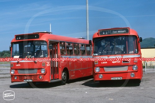 Bus photo highland scottish - photo,