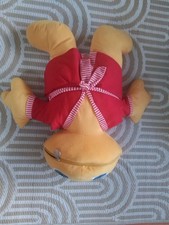 Rare Rainbow Zippy 10” Soft