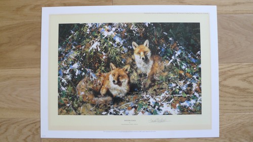David shepherd winter - winter, foxes
