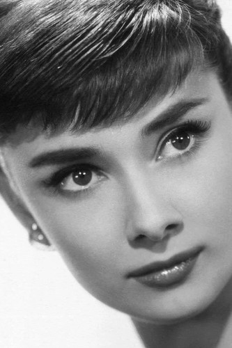 Audrey hepburn 4x6 photo - 4x6,