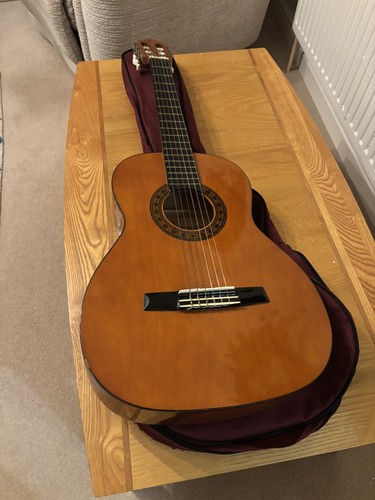Valencia acoustic cg160 - ,