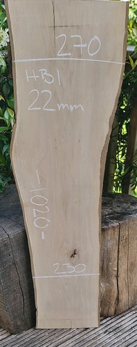 Hornbeam live edge - edge, slab