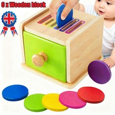 NEW Color Sorting Wooden
