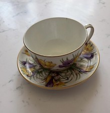 Antique 1905 Fords China
