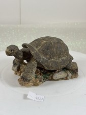 Country Artists Galapagus