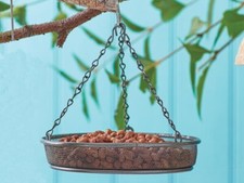 OakDale Hanging Bird Feeder
