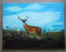 Magnificent Stag Red  Deer in