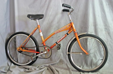 1980 Raleigh Road Runner 20"