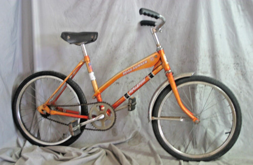 1980 raleigh road runner - raleigh,