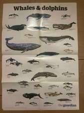 The Guardian Wallchart Poster