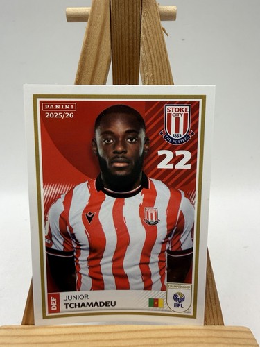 Panini efl 2025 sticker - panini,