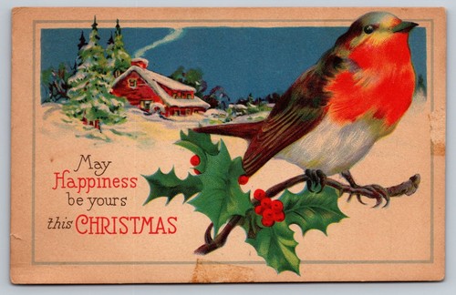 Christmas robin holly snowy - holly,