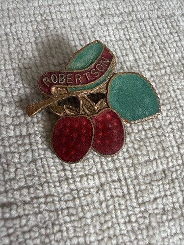 Badge raspberry fruit - badge,