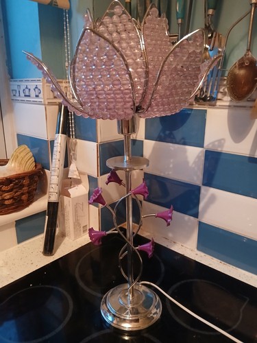 Stunning lilac hollywood - lilac,
