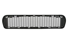 Front BLIC 6502-07-0062998P