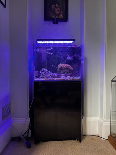 Marine 135l glass - 135l, rectangle