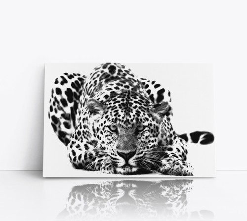 Black and white leopard - black,