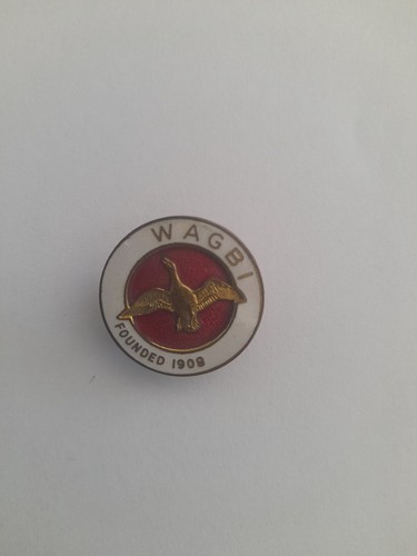 Wagbi lapel badge enamel in - badge,