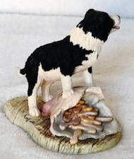 Border Fine Arts  Trouble