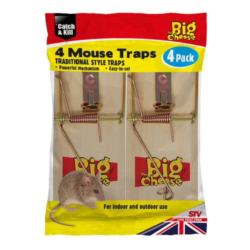 Big cheese wooden mouse trap - cheese,