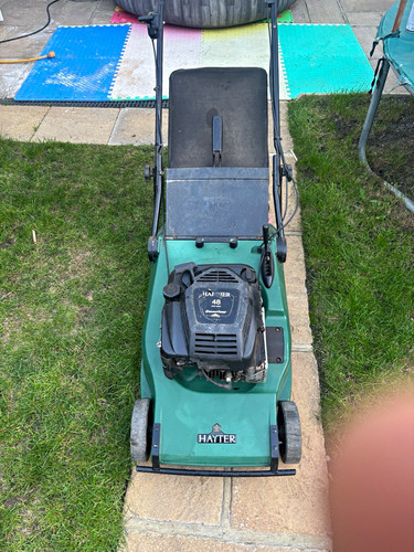 Hayter petrol push rotary - hayter,
