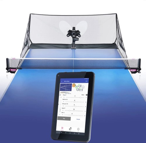 Butterfly amicus prime - amicus,