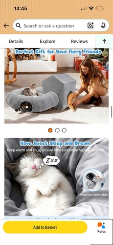 Indoor cats cute cat donut - cute,