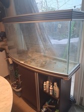 Aquience Bow Front 1200 Fish