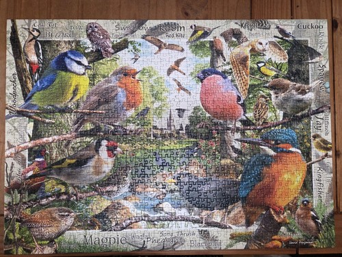 Ravensburger our feathered - ravensburger,