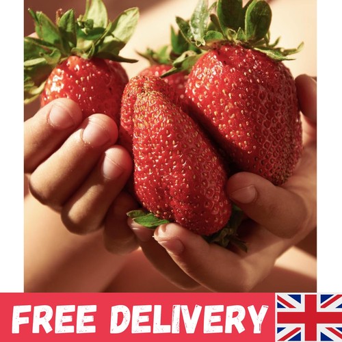 You garden strawberry plants - you,