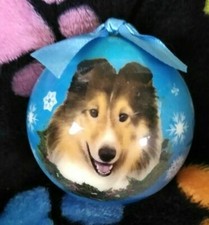 Beautiful Sheltie Christmas