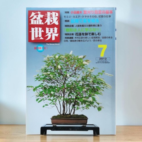 Bonsai sekai magazine july - magazine,