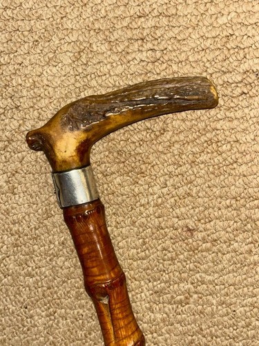 Antique whangee bamboo semi - whangee,