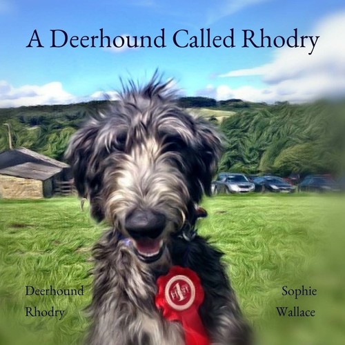 Deerhound called rhodry - a,