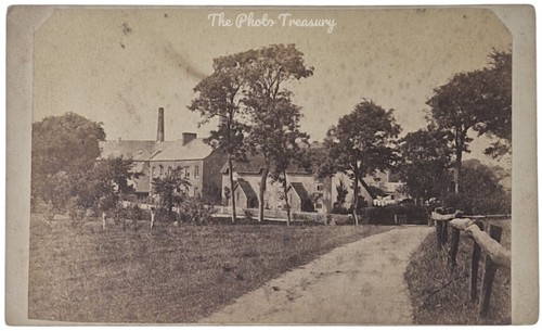 Cdv bridport dorset rural - cdv,
