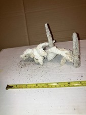 RB15 4x Dead Coral Reef Bones