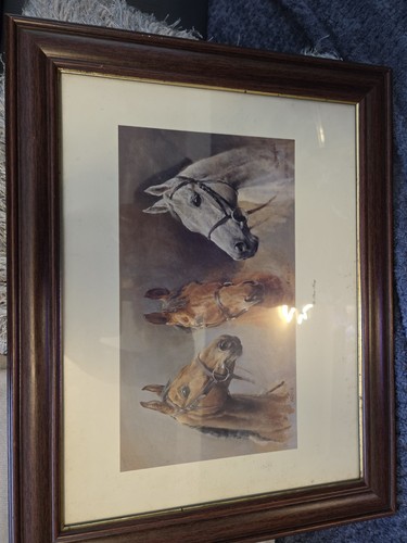 The three kings - the, picture