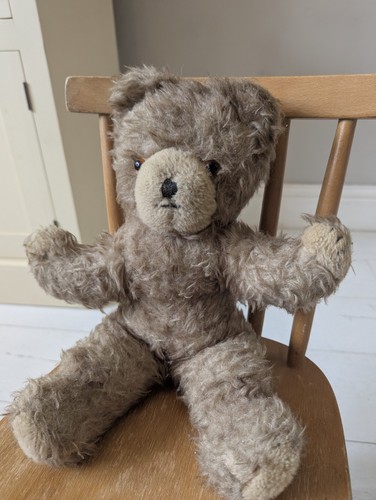 Mohair teddy bear - teddy,