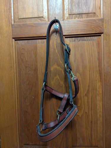 Leather regular horse halter - leather,