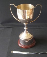 Vintage Large Silver  trophy  N E Hants junior calf   34cm tall