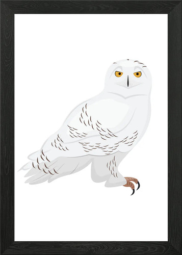 Snowy owl bird framed wall - snowy,