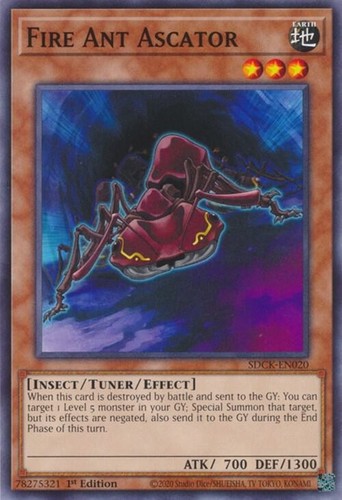 Fire ant ascator - ant, sdck-en020